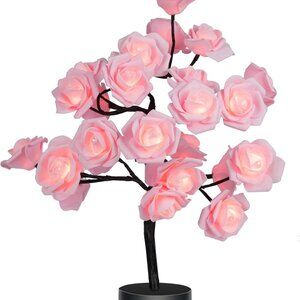 COLORLIFE Birthday Mother's Day Valentine's Day for Mom Women Daughter Wife